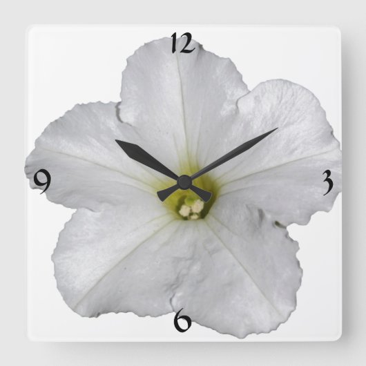 Horloge Carrée Cool blanc à la floraison de pétunia (Recto)
