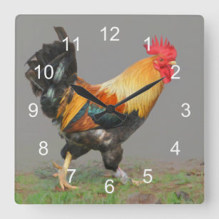 Horloge Carrée Coq coloré, l'alarme de la nature