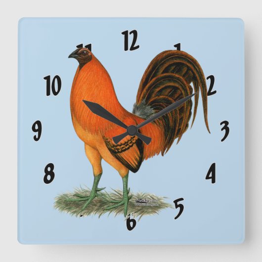 Horloge Carrée Coq de combat Ginger Rouge (Recto)