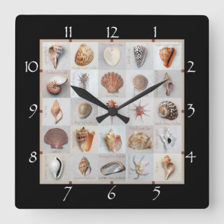 Horloge Carrée Coques sophistiquées