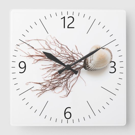 Horloge Carrée Coquille (Recto)