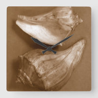 Coquilles sensuelles