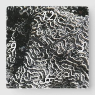 Horloge Carrée Corail noir et blanc I Abstrait Nature Photo