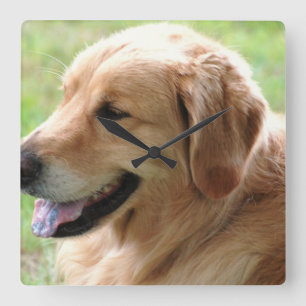 Horloge Carrée Coupe Golden Retriever
