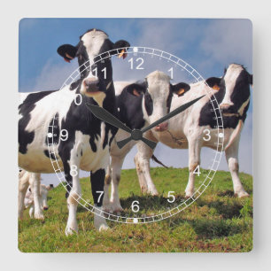Horloge Carrée Cow Family Portrait