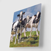 Horloge Carrée Cow Family Portrait (Angle)