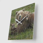 Horloge Carrée Cubs d'ours Brown se léchant avec leur mère (Angle)