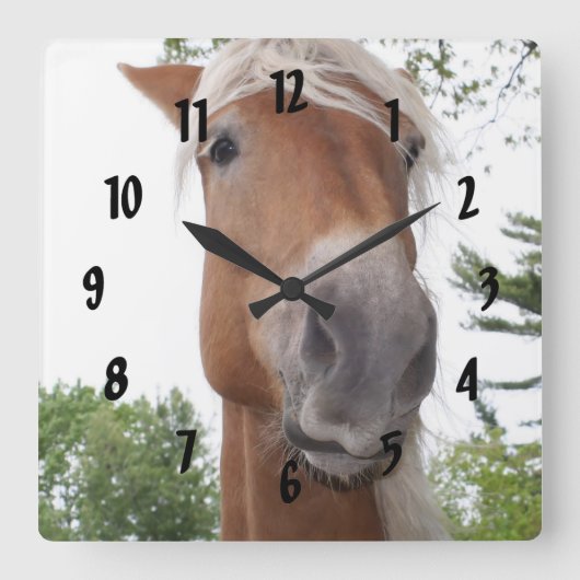 Horloge Carrée Cute Belgian Draft Horse Face Animal (Recto)