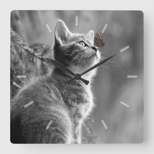 Horloge Carrée Cute chaton gris avec papillon sur le nez (Recto)
