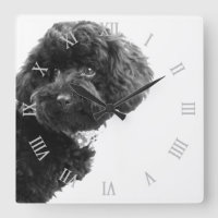 © Cute Dog Puppy Black and White/Photographie