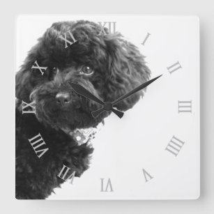 Horloge Carrée © Cute Dog Puppy Black and White/Photographie