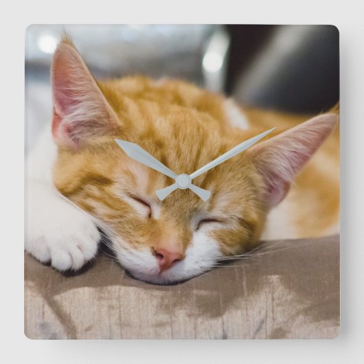 Horloge Carrée Cute Kitten (Recto)