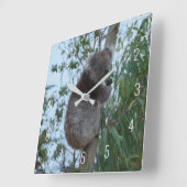 Horloge Carrée Cute Koala Climbing in a Tree Australia Square Wal (Angle)