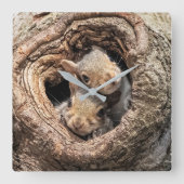 Horloge Carrée Cutest Baby Animals | Two Young Squirrels (Recto)