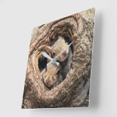Horloge Carrée Cutest Baby Animals | Two Young Squirrels (Angle)