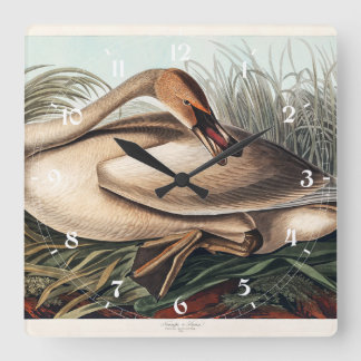 Horloge Carrée Cygne trompette par John James Audubon