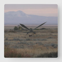 D10 Cerfs à queue blanche Sweetgrass Hills