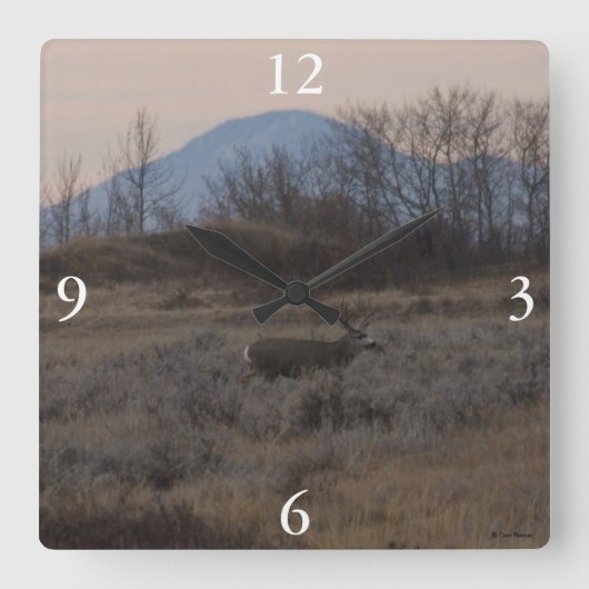 Horloge Carrée D12 Mule Deer Buck and Sweet Grass Hills (Recto)