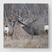 Horloge Carrée D29 Mule deer (Recto)