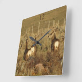 Horloge Carrée D30 Mule Deer Bucks (Angle)