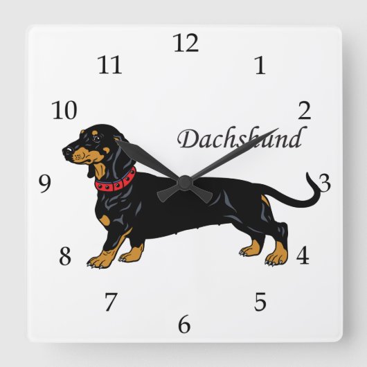 Horloge Carrée Dachshund race de chiens (Recto)