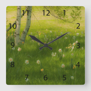 Horloge Carrée Daffodiques de printemps