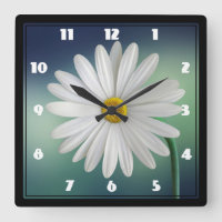 Daisy