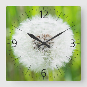 Horloge Carrée Dandelion