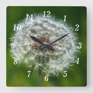 Horloge Carrée Dandelion Dans L'Horloge Mur Léger