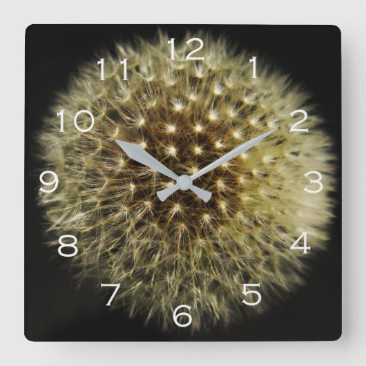 Horloge Carrée Dandelion semis blanc numéros wccn (Recto)