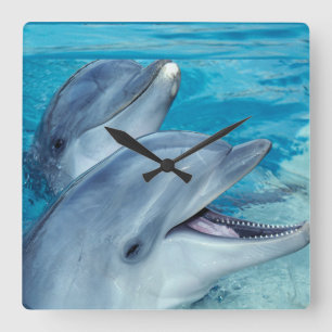 Horloge Carrée dauphins
