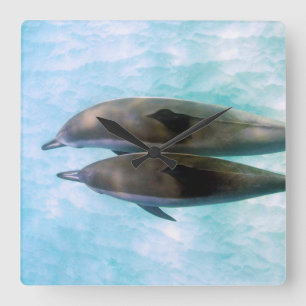 Horloge Carrée Dauphins de fileur Oahu Hawaï