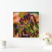 Horloge Carrée Daylily Black Plush (Maison)