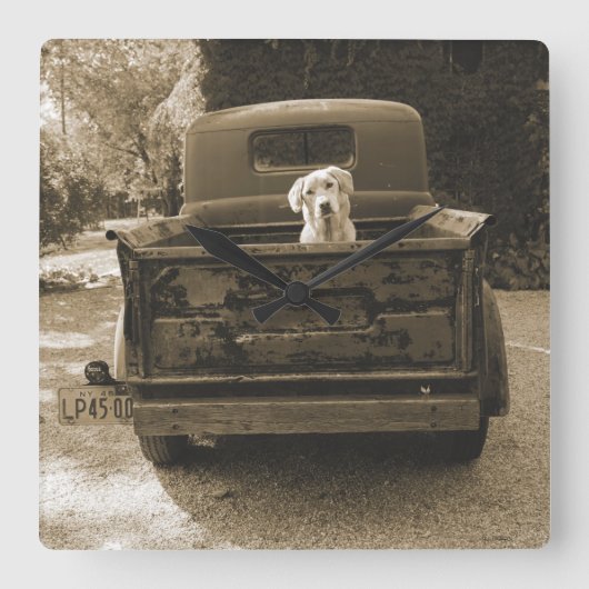 Horloge Carrée Dehors de Dodge - Photo de chien (Recto)