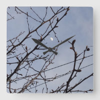 Demi-lune en plein jour