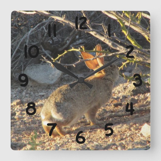 Horloge Carrée Desert Rabbit Clock (Recto)