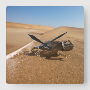 Horloge Carrée Deserts Namaqua Chameleon in Desert