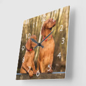 Horloge Carrée Deux Golden Rust Vizsla Dogs (Angle)