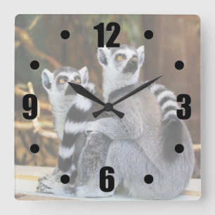 Horloge Carrée Deux petits lémuriens