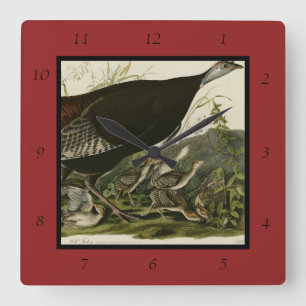Horloge Carrée Dinde sauvage femelle de Birds of America d'Audubo