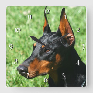 Horloge Carrée Doberman Pinscher dog  clock