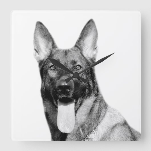 Horloge Carrée Dog german shepherd animal pet photo black (Recto)