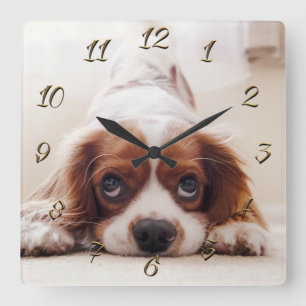 Horloge Carrée Doggy
