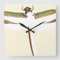 Dragonfly miniature sur Arrière - plan blanc