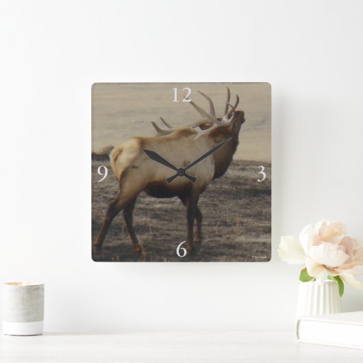 HORLOGE CARRÉE E39 (Maison)