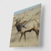Horloge Carrée E55 Bull Elk (Angle)