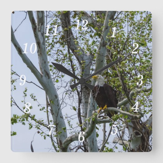 Horloge Carrée Eagle Surveillez l'horloge murale (Recto)