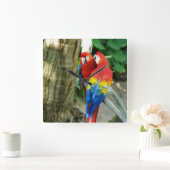 Horloge Carrée Écart de l'horloge Macaw (Maison)