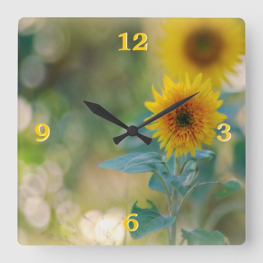 Horloge Carrée Écran de mur des tournesols (Recto)