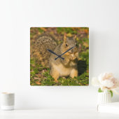 Horloge Carrée Écureuil gris, manger, arachide, Springs Crystal 1 (Maison)